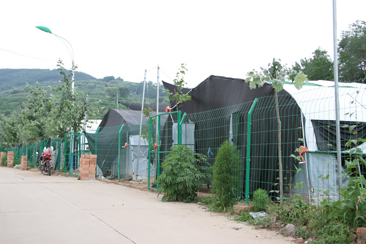 ��������Դ��ֲרҵ������