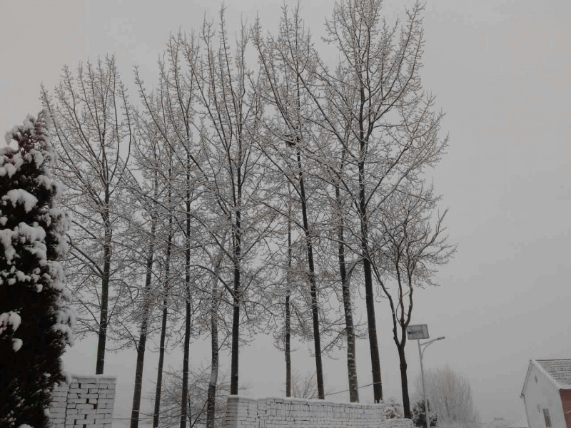 webwxgetmsgimg (18).jpg