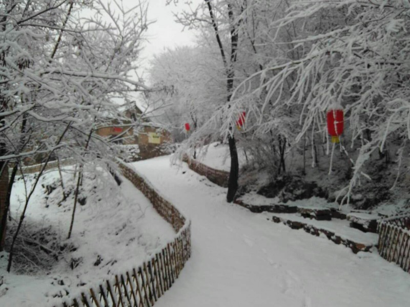 webwxgetmsgimg (12).jpg