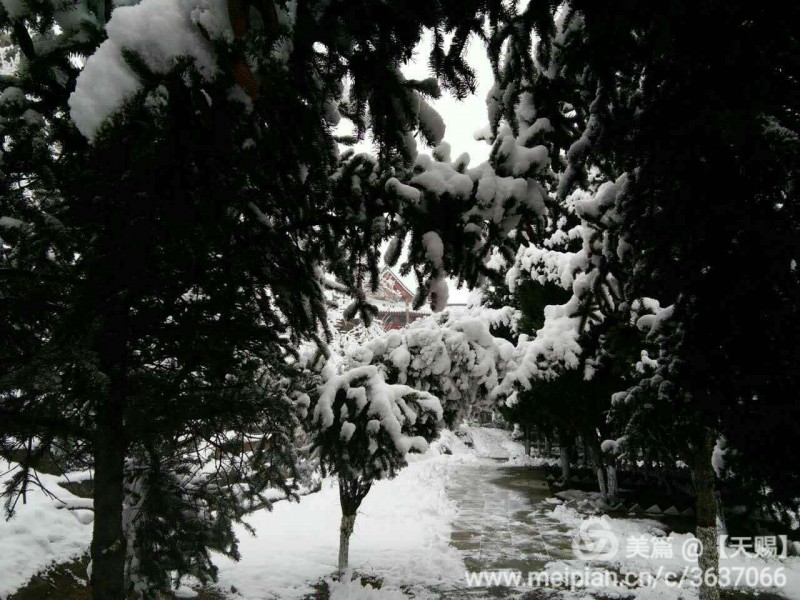 webwxgetmsgimg (7).jpg