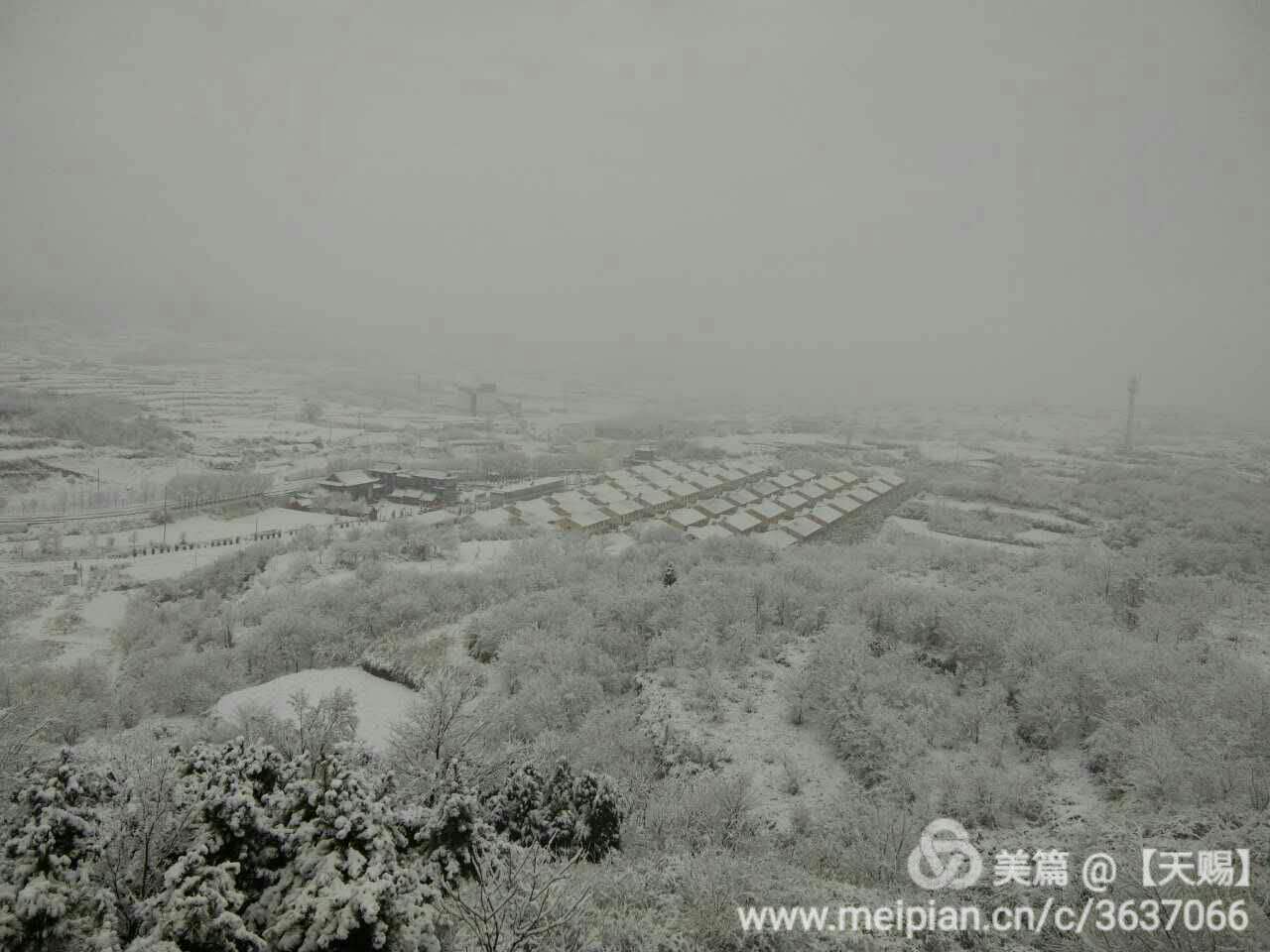 webwxgetmsgimg (23).jpg