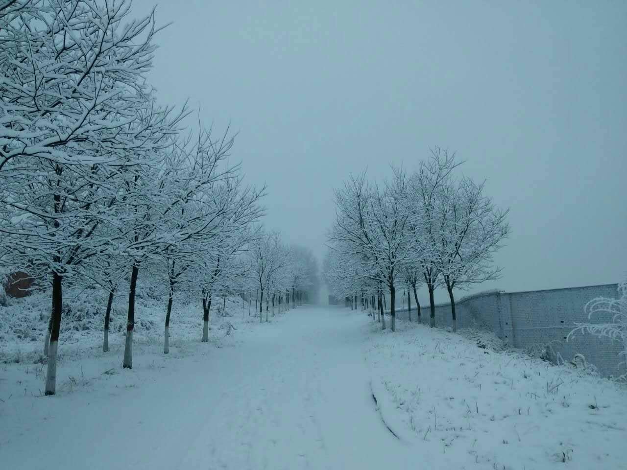 webwxgetmsgimg (3).jpg