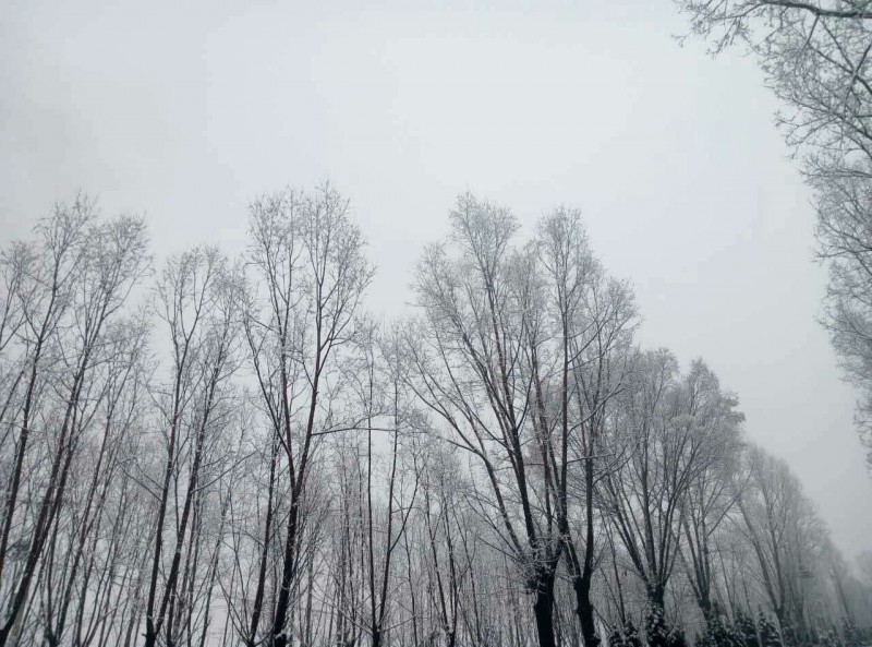 webwxgetmsgimg (2).jpg